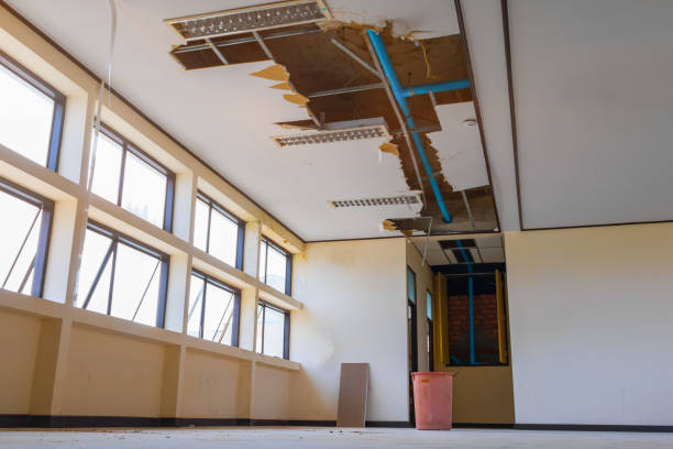Best Residential water damage restoration  in Norton Shores, MI