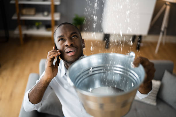 Best Professional water damage repair  in Norton Shores, MI