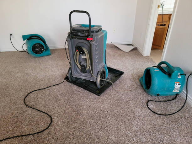 Best Ceiling water damage repair  in Norton Shores, MI