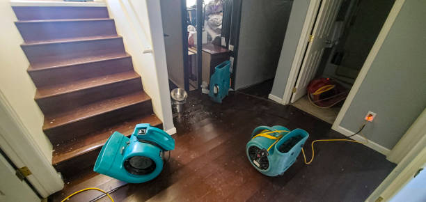 Best Carpet water damage restoration  in Norton Shores, MI