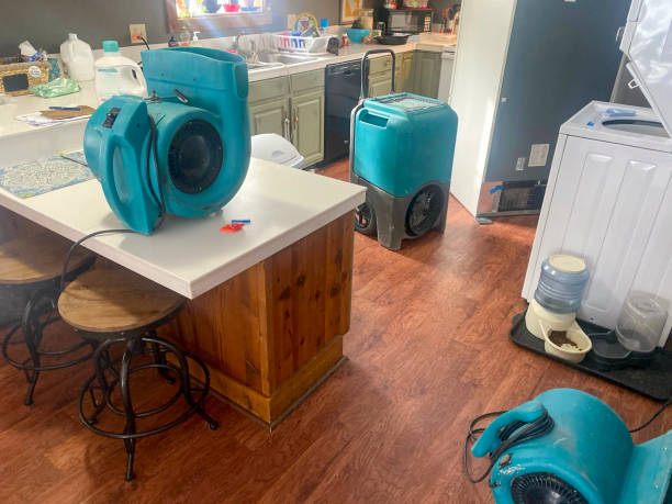Local water damage restoration in MI