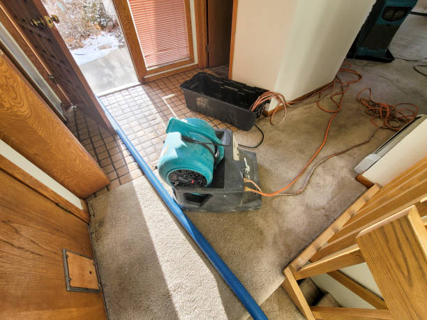 Water damage restoration mold remediation in MI