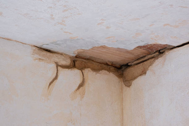 Best Commercial water damage restoration  in Norton Shores, MI