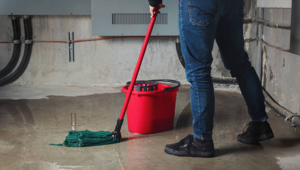 Best Professional water damage repair  in Norton Shores, MI