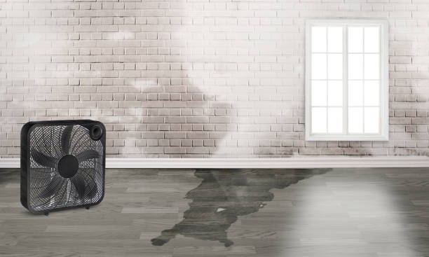 Local water damage restoration in MI