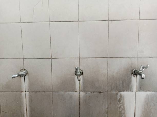 Best Water damage restoration near me  in Norton Shores, MI