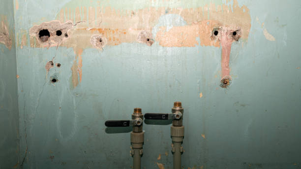 Best Water damage cleanup near me  in Norton Shores, MI