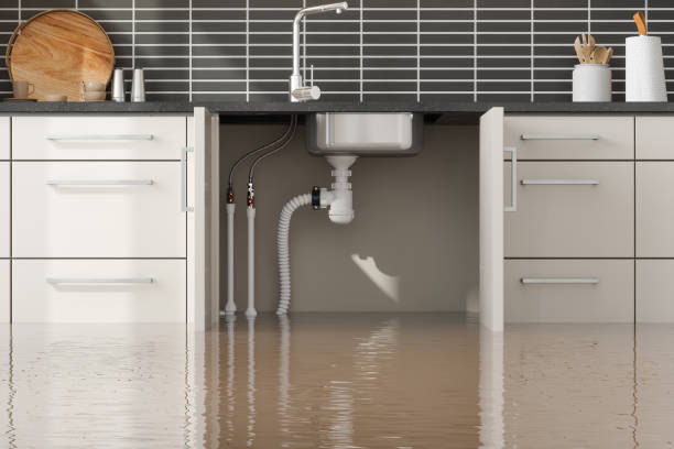 Best Water damage mitigation services  in Norton Shores, MI