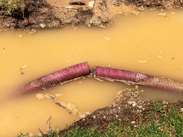 , MI Water damage restoration Company