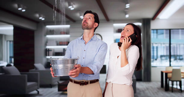Reliable MI Water damage restoration Solutions