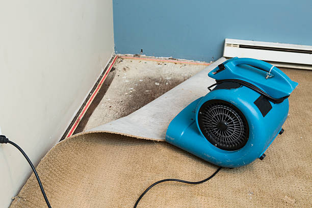 Best 24/7 water damage repair  in Norton Shores, MI